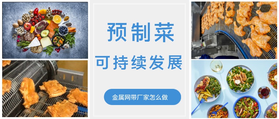金屬輸送網帶的領頭企業，預制菜的可持續發展中能做什么？